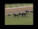 1991 小倉記念 (GIII)　ナイスネイチャ  Nice Nature