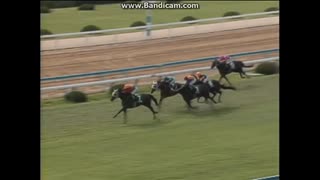1991 小倉記念 (GIII)　ナイスネイチャ  Nice Nature