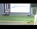 第5回いしがきマイラーズ シャイニーロック