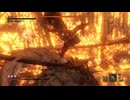 心中の義父ノーダメージ　SEKIRO/隻狼/苦難厄憑