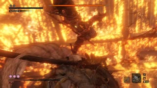 心中の義父ノーダメージ　SEKIRO/隻狼/苦難厄憑