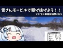 雪さんモービルで駆け抜けよう！