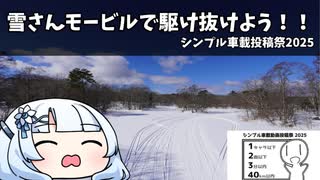 雪さんモービルで駆け抜けよう！