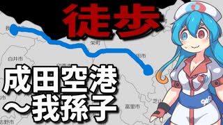 【VOICEVOX散歩】運動不足の投稿者が成田空港から我孫子まで歩こうとした結果…