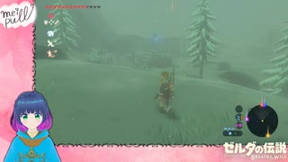 不思議な場所に祠を発見！【ゼルダの伝説 ブレス オブ ザ ワイルド】Part.１９１【#vtuber】