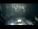 【初見実況】　バイオハザード　クリス編　その２７