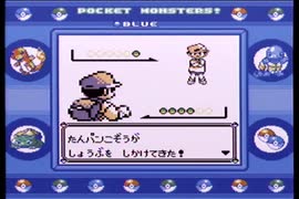 【ポケットモンスター青】殿堂入りを目指して Part9【11番道路】