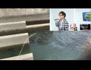 2025年7月16日森野妖精さん一周忌淀川