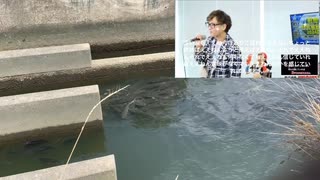 2025年7月16日森野妖精さん一周忌淀川