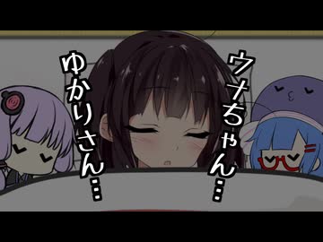 寂しがりやなきりたん、1人Wぬい抱えで就寝する…