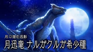空中戦メインでサンブレイクを楽しむ棍使い【ナルガクルガ希少種編】