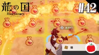 【実況】龍の国 ルーンファクトリーを初見で遊ぶいも【#42】※ネタバレあり
