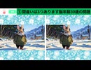【！脳トレ+育脳に最適☆まちがい探しタイム！ 】＃223