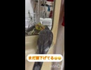 なぎ歌うよ！