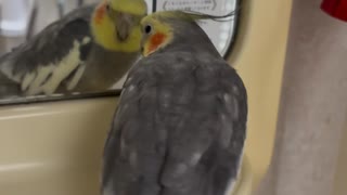 なぎ歌うよ！
