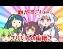 癖がすごいきりたんの歯磨き