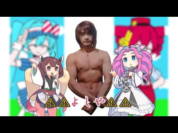 ニテイナイザー / 東北きりたんNT・四国めたんNT