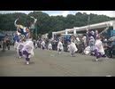 てんしゃばフェスタ踊り子隊　夢音彩～Yumeneiro～　ライオンズよさこい2025　流し踊り会場