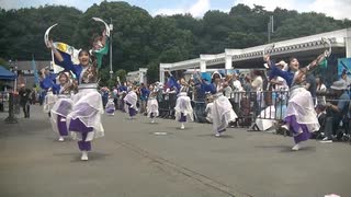てんしゃばフェスタ踊り子隊　夢音彩～Yumeneiro～　ライオンズよさこい2025　流し踊り会場