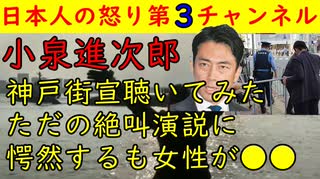 【小泉進次郎】神戸街宣聴いてみたが絶叫しているだけだった「かっこいい～」と相変わらずの小泉ガールズは健在