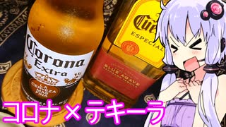 【揚げ物サルサでコロナ割りテキーラ】ゆかりのふらっと隠れ家 第２期 ♭517
