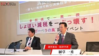 「参院選で一票一揆 しょぼい減税をぶっ壊す！」2025年5月29日 国会イベント 第一部　植草一秀先生