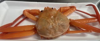ベニ　ズワイガニ　蟹味噌　　カニ　かに　ほぐし身