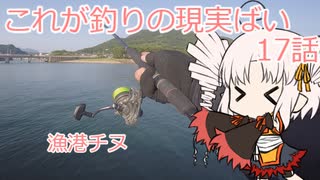 これが釣りの現実ばい17（漁港チヌ狙い）【VOICEROIDフィッシング】