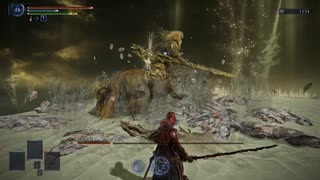 ELDEN RING NIGHTREIGN を SEKIRO NIGHTS DIE TWICEだと思い込んでいる人の常夜フルゴールその4