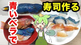 ベラ寿司_予告