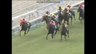 2008 小倉記念 (JpnIII)　ドリームジャーニー