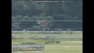 2008 函館２歳ステークス (JpnIII)　フィフスペトル