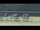 2013 函館２歳ステークス (GIII)　クリスマス