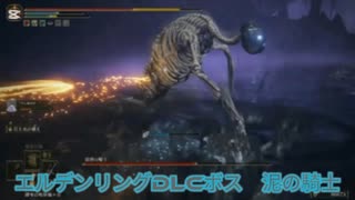 エルデンリングDLCボス戦　泥の騎士