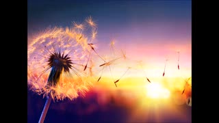 Original Song 自作曲 [Twilight]