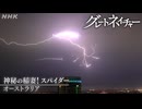 [グレートネイチャー] 神秘の稲妻！スパイダー ～オーストラリア～ | NHK