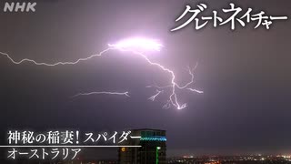 [グレートネイチャー] 神秘の稲妻！スパイダー ～オーストラリア～ | NHK
