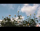 傾聴 / 初音ミク