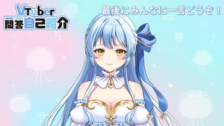 【自己紹介】Vtuber一問一答自己紹介／Vtuber Q&amp;A self introduction【...