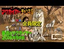 最近のマクガイヤー 2016年9月号 延長戦「ゴーストバスターズ/ジャングルブック/グランド・イリュージョン/ミュータント・ニンジャ・タートルズ/X-MEN」