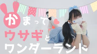 【じゃね】かまってウサギとワンダーランド 踊ってみた【せぶこ誕】