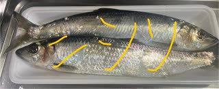 ニシン　国産　塩焼き　グリル　料理　開き