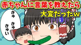 【ゆっくり茶番】赤ちゃんに言葉を覚えさせてみる