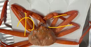 ベニ　ズワイガニ　蟹味噌　　カニ　かに　ほぐし身