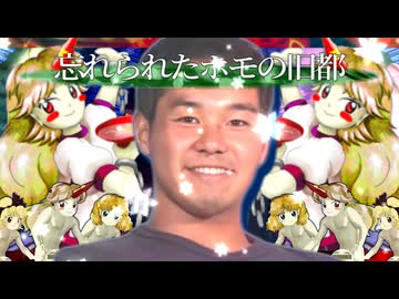 やっぱり僕は旧地獄王道を往く【東方夏淫夢】