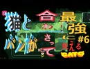 (=実況=)ネコとパンが合わさって最強に見えるCATO #6
