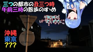 【琴葉葵の深夜徘徊】午前三時の沖縄・東京・???を歩きます【VOICEROID旅行】
