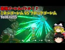 【ゆっくり実況】初めてのティアーズオブザキングダム！ part295【ティアーズオブザキングダム】