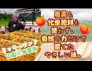 Emilychannel渋谷クロスFm2025年7月15日火曜日20時放送分リッキーランド園主笹原六氣(ｻｻﾊﾗﾘｯｷｰ❷)