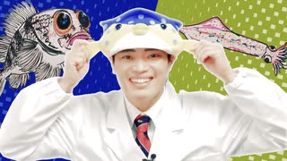 おさかなシティ
